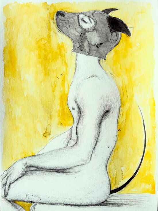 Pup (2026) pencil, ink and watercolour on paper