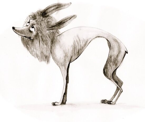 A Leonnox (lion/dog/rabbit)